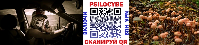 Псилоцибиновые грибы GOLDEN TEACHER  Купить где  Тетюши 